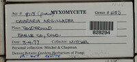 Image Associated With the Occurence